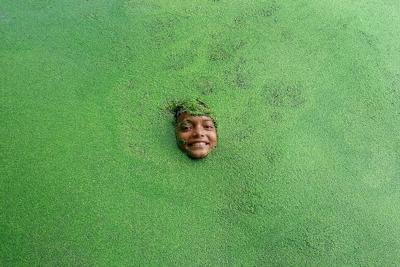 梦到地里全是烂西瓜