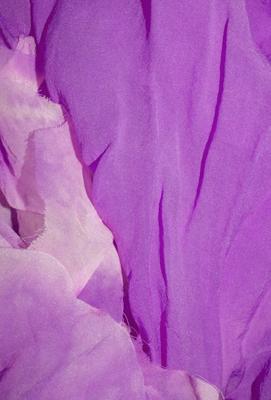 紫玉兰花的寓意和风水，紫玉兰花的寓意是什么？