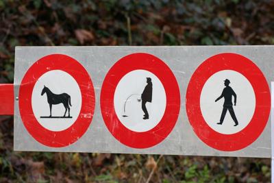 属猴和属马相配吗？属猴和属马的匹配度如何