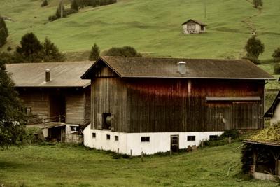 85年牛适合居住的楼层，85年牛八字相合的楼层风水