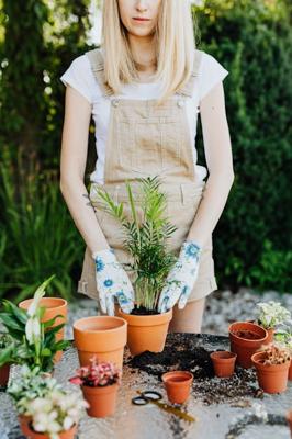 家里院里种什么树风水好又旺财，家里院里种树的风水旺财植物推荐