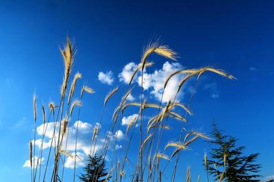 出部级的好风水地方，地理位置的好风水最佳选择