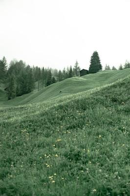 坟地风水分房分富，坟地分房 看哪些山头