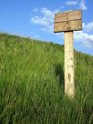农村坟地立碑方向，农村坟地风水方位选择方法
