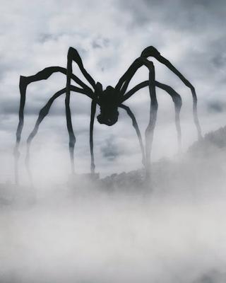 做梦梦见黑色大蜘蛛