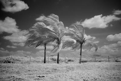 坟地风水挑选常见问题，化解问题的最佳风水方案