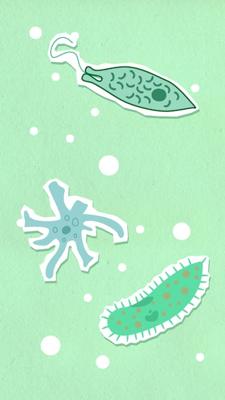 梦见吃龙虾预兆