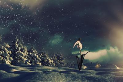 梦见下冰雹砸了自己