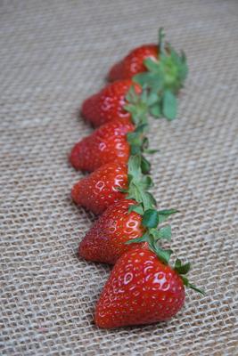 梦见树上长了大草莓