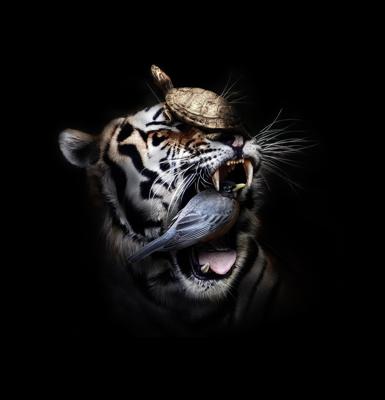 属虎人生于几月好，属虎人生于几月好几月不好