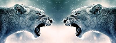 狮子座和哪个星座最配，狮子座最佳配对第一名