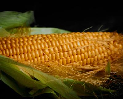 梦见玉米是什么预兆