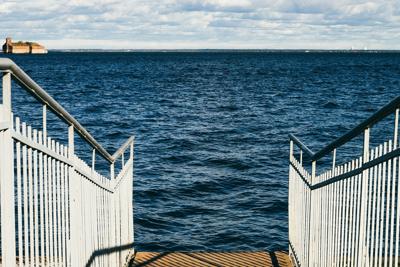 荷花可以放大门口吗，荷花摆放与风水运势有关系