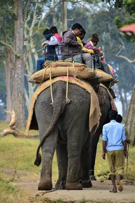 风水大象的摆放方法，风水大象寓意招财纳福的摆放技巧