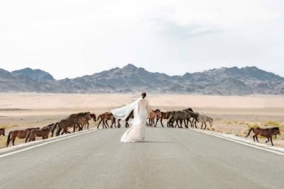 属龙和属狗的结婚，属龙和属狗的结婚好吗 会幸福吗