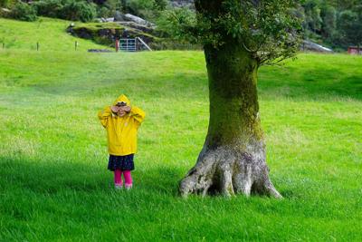 院子种什么树好风水，院子种树风水布局与吉祥树种推荐