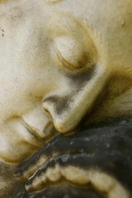 梦见菩萨雕像是什么