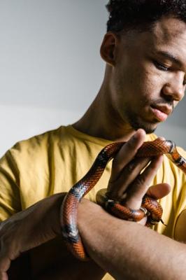 蛇天秤座男生性格特点，如何理解他们的内心世界