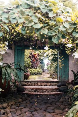 庭院葡萄架的方向南北好还是东西方比较好