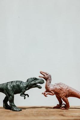 两个00年属龙的在一起好吗？生肖配对与运势分析