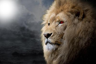 梦见狮子是什么预兆