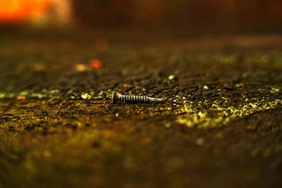 梦到身上有蛆虫