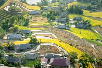 农村院子怎么聚财，农村院子怎么设计好看又聚财