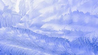 天鹅挂画的风水禁忌，天鹅挂画寓意与风水摆放法则