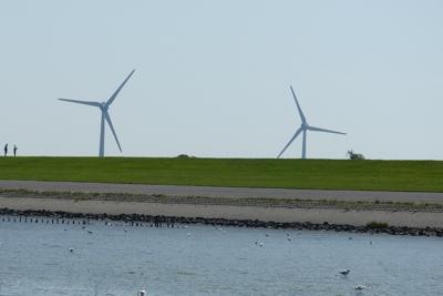 坟地风水禁忌，选择好的风水环境对运势的重要性