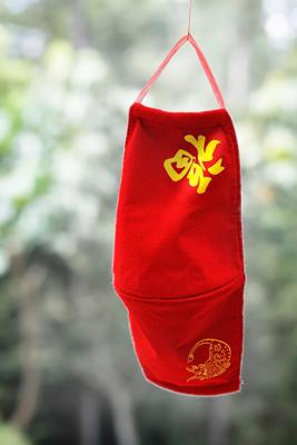 玉兰花吊坠寓意，玉兰花在中国运势中的吉祥象征