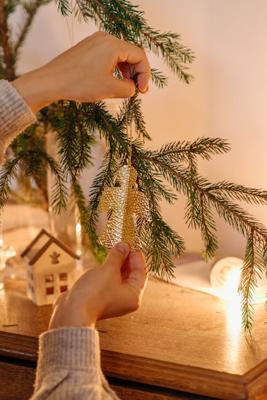 家里放发财树，家里放发财树摆件有什么讲究吗