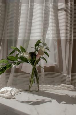 虎皮兰摆放在卧室，风水讲究卧室植物摆放的运势提升