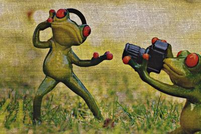 梦到两个同事打架