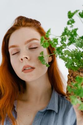 周公解梦梦见绿色植物