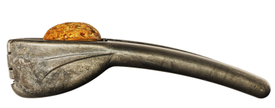 双鱼和金牛座合不合，双鱼金牛星座属性及适合的领域