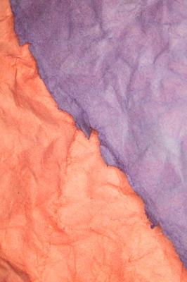 入户地垫颜色风水，入户地垫颜色风水学与五行相生搭配技巧