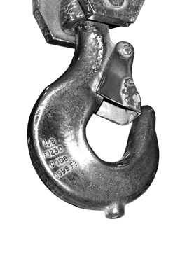 属马巨蟹座性格特点，属马巨蟹座的性格剖析