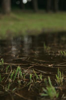 祖坟后面土坡下雨时往下流水好吗