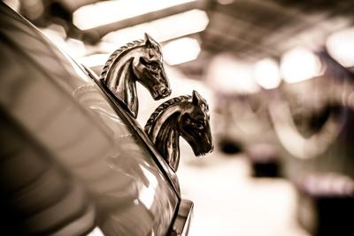 属马2025年的幸运色和忌讳色，属马在2025年运势怎么样？