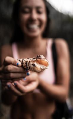 梦见妈妈抓着一个大龙虾