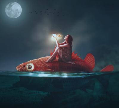 周公解梦梦见红鲤鱼