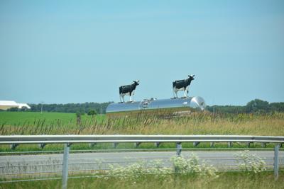 属牛适合住几层楼朝向，属牛八字风水指南