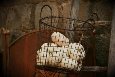 五行欠金的兔宝宝取什么名大气好听