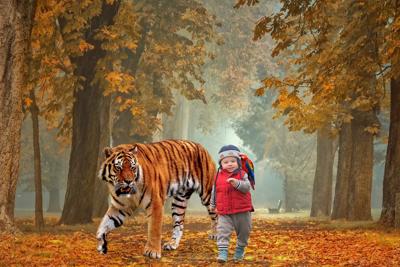 属虎哪个时辰出生最好命能享福，时辰与财运健康的关系