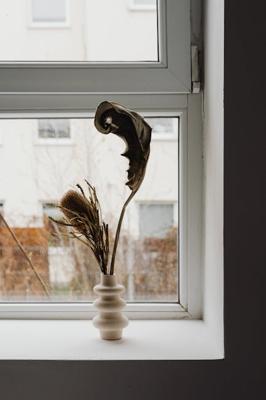 家中招财风水布局，家中招财摆件风水效果哪个好