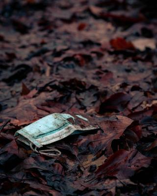 梦见看到地上钱包叫别人捡