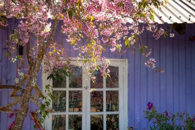 庭院大门颜色风水禁忌，庭院大门颜色有什么讲究