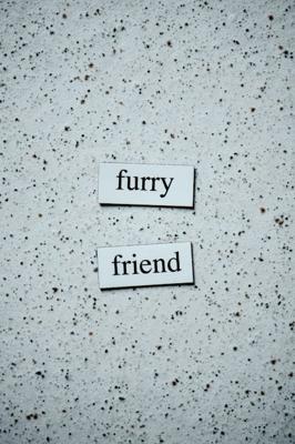 蓝白猫取名字独特的，宠物命名寓意好又有创意