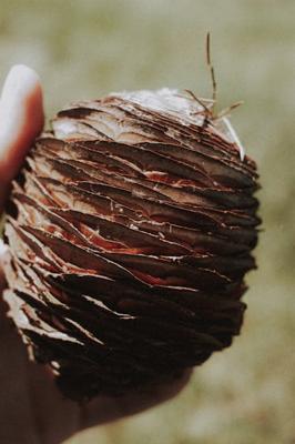 葫芦的风水作用与功效，葫芦在风水中的重要作用是什么？