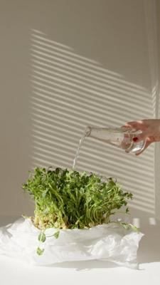 厨房风水布局与健康，厨房风水布局禁忌